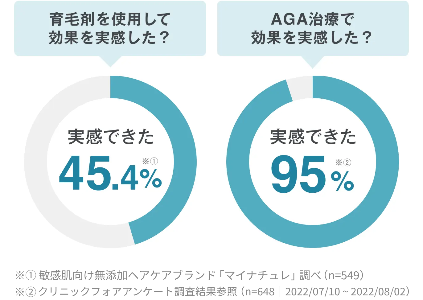 セクション画像