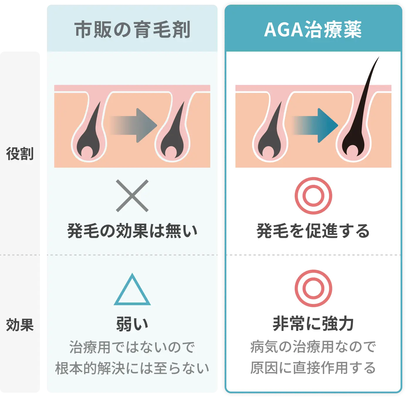 セクション画像