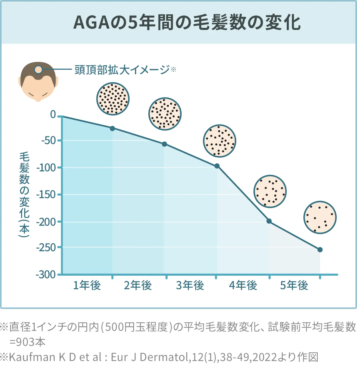 セクション画像