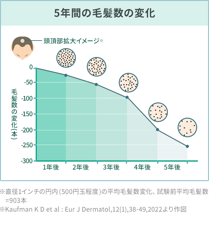 セクション画像