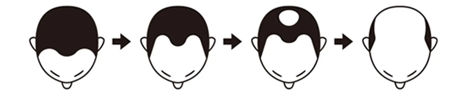 セクション画像