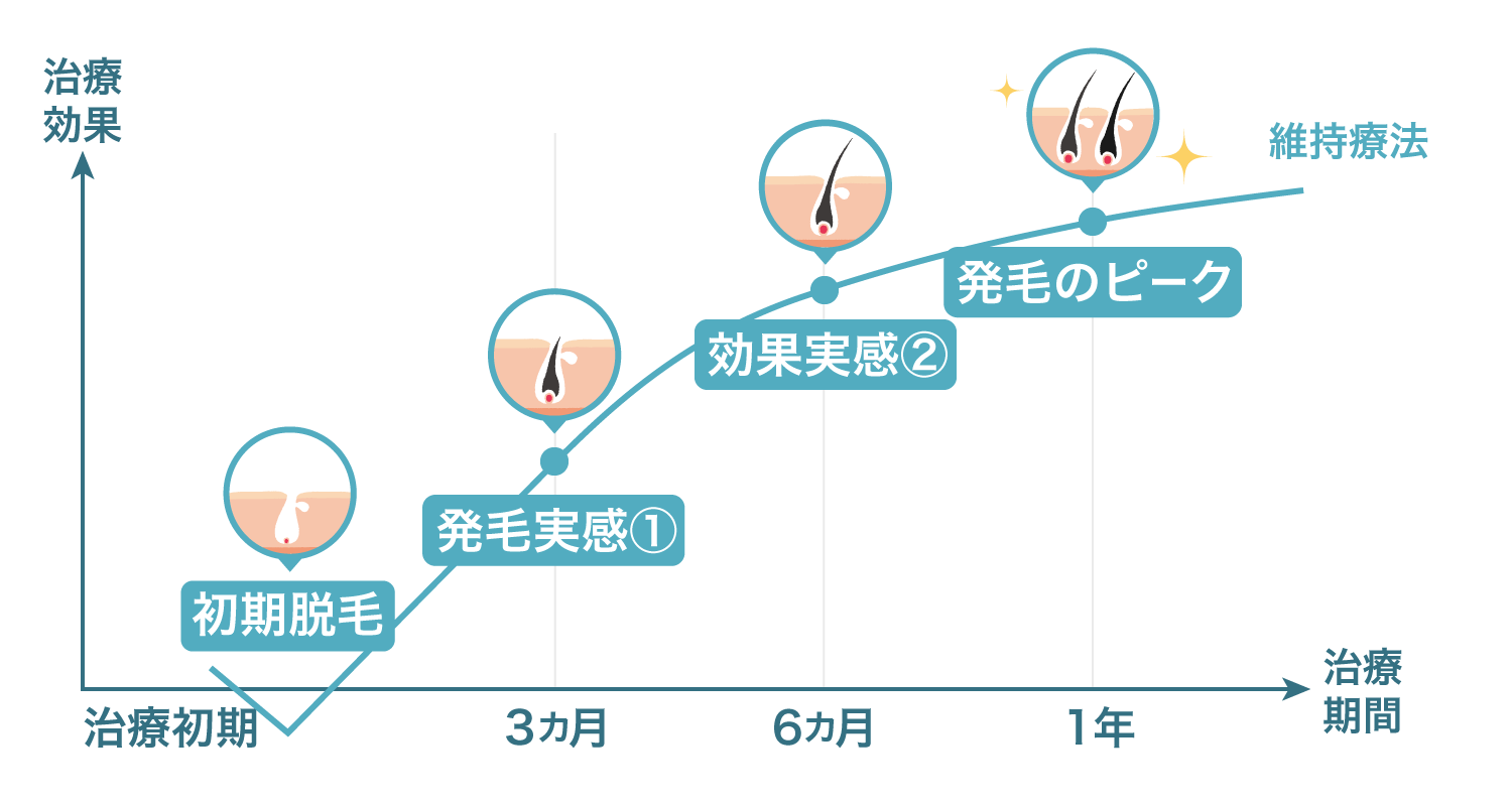 セクション画像