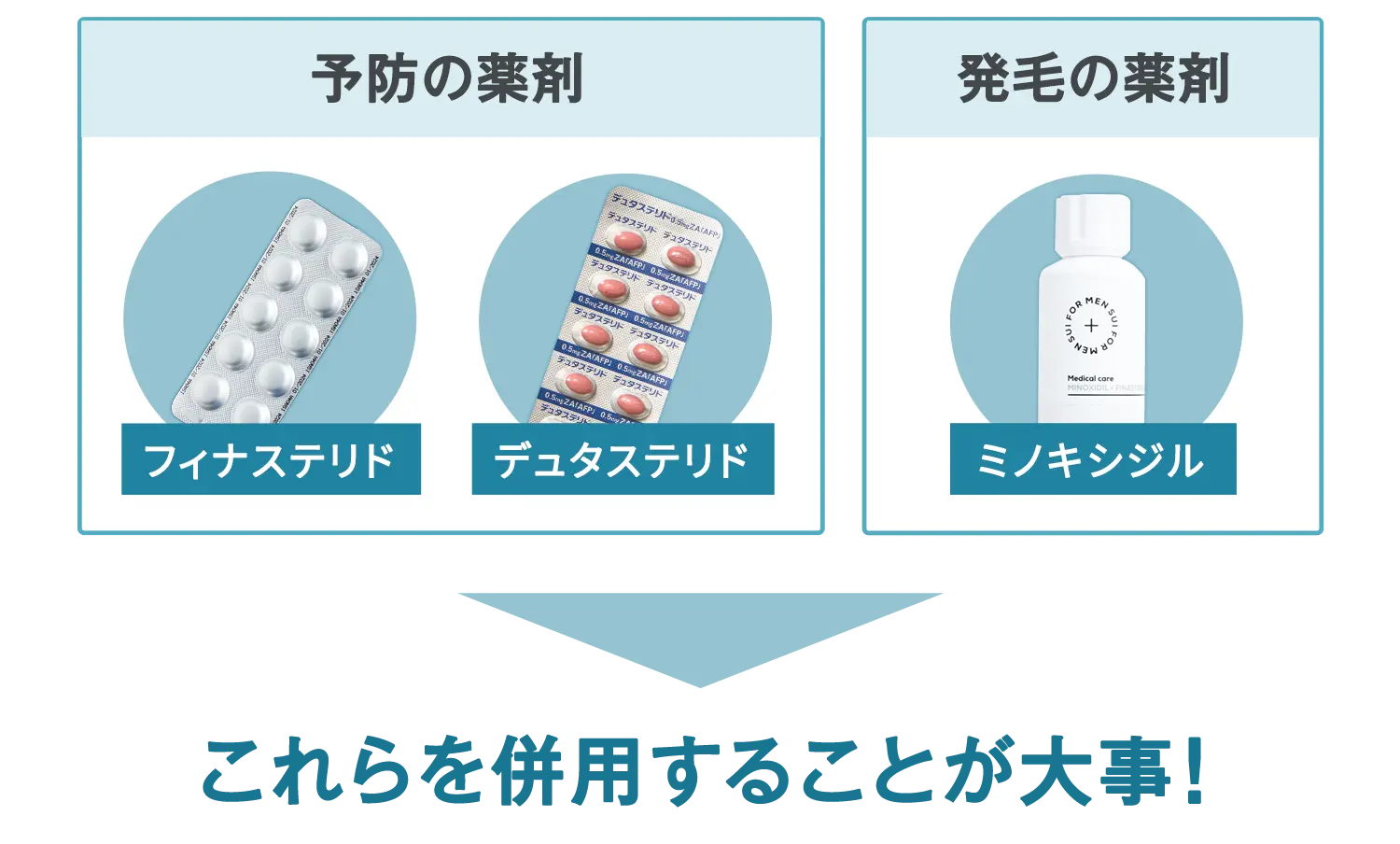 セクション画像